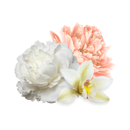 fabriccare-coralsea-cvijece