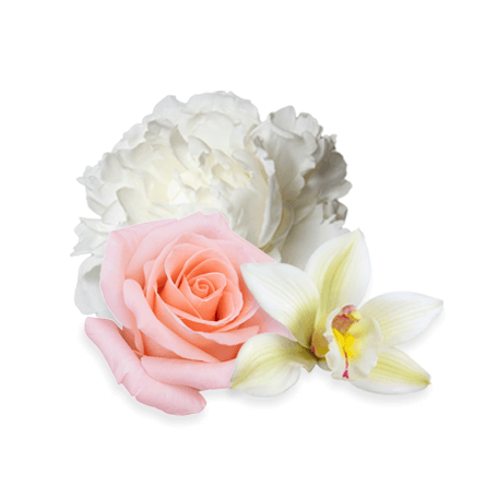 fabriccare-coralsea-rose-cvijece