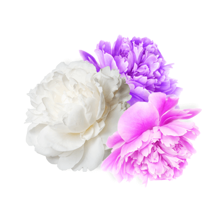 fabriccare-orginal-cvijece