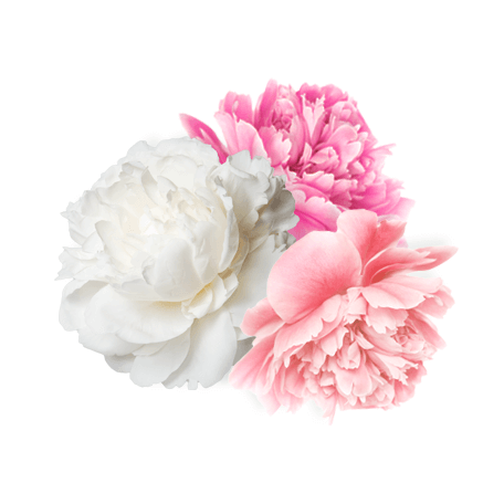 fabriccare-pink-cvijece